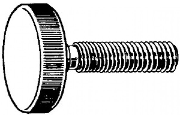 DIN653 Knurled thumb screws thin type 滾花平頭螺釘